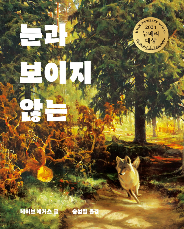 눈과 보이지 않는 표지