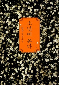 소년이 온다 : 한강 장편소설 표지